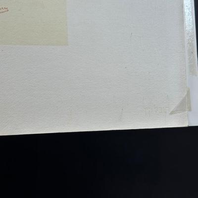 LOT 228: 7 Signed Prints From “The Bible, Genesis” Portfolio by Abel Penn