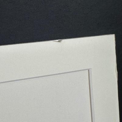 LOT 229: 8 Signed Prints From “The Bible, Genesis” Portfolio by Abel Penn