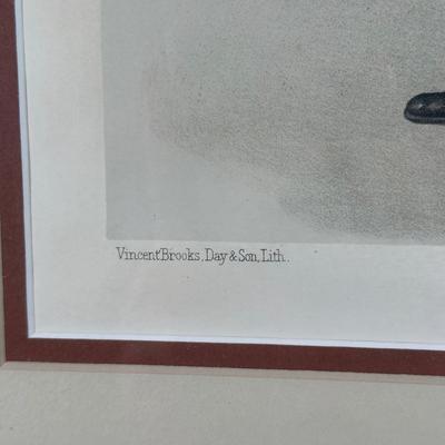 LOT 234: Set Of 4 Vintage Framed Vanity Fair Prints