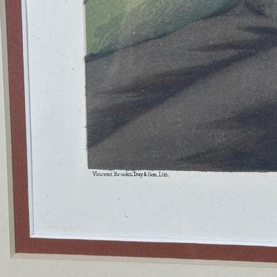 LOT 235: Set Of 4 Vintage Framed Vanity Fair Prints