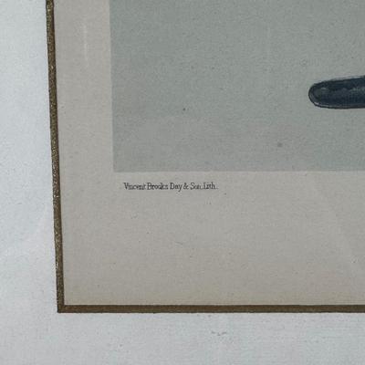 LOT 238: Set Of 3 Vintage Vanity Fair Prints & The Vanity Fair Gallery A Collectors Guide To The Caricatures Book & More