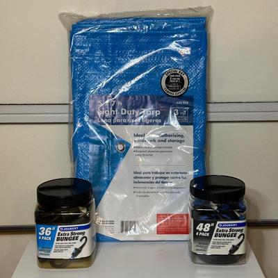 LOT 261: Car Essentials! Ice Scrapers, Bungee Cords, Inflate n Go & More!