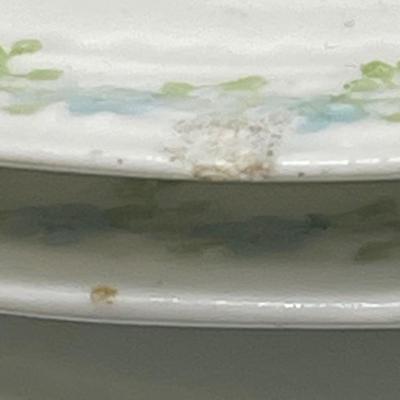 A Lanternier Limoges 11 Dinner plates