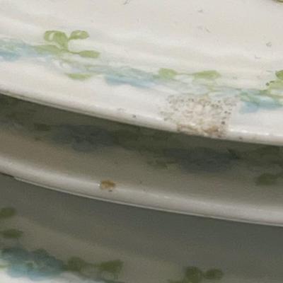 A Lanternier Limoges 11 Dinner plates