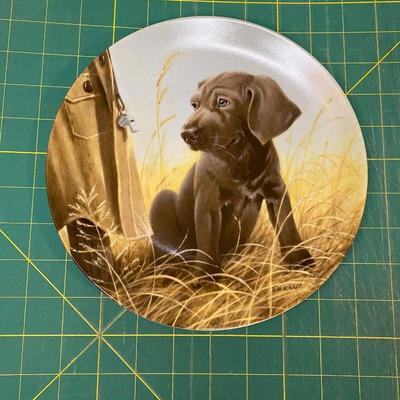 Dog Collector Plates