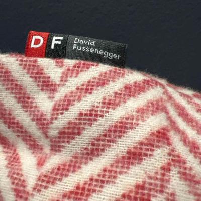 David Fussenger Luxury Austrian Decorative Accent Throw Pillow, Holiday Red And White Chevron Deer 