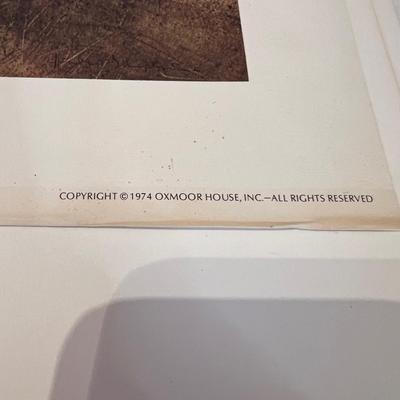 ‘Jericho’ The South Beheld & More Coffee Table Books (D-RG)