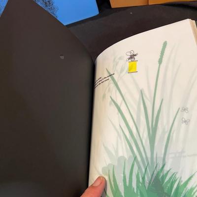Art - Illusion, Design & Stories - Hardback Books (D-RG)