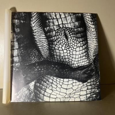 Photography Books (D-MG)