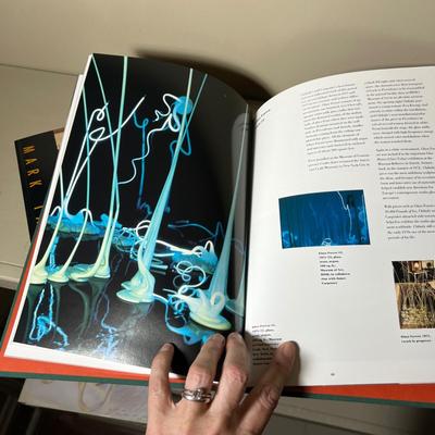 Large Assortment of Books on Artists - David Hockney, Peter Howson, David Levinthal & More (D-RG)