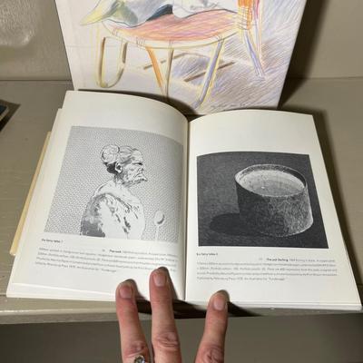 Large Assortment of Books on Artists - David Hockney, Peter Howson, David Levinthal & More (D-RG)