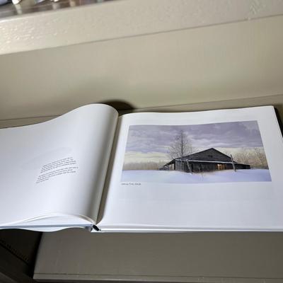 Large Assortment of Books on Artists - David Hockney, Peter Howson, David Levinthal & More (D-RG)