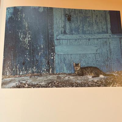Books on Cats (D-MG)