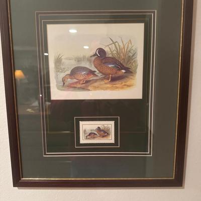 Wildlife printed wall framed decor