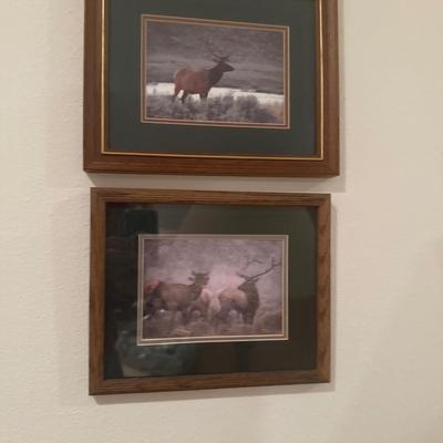 Wildlife printed wall framed decor