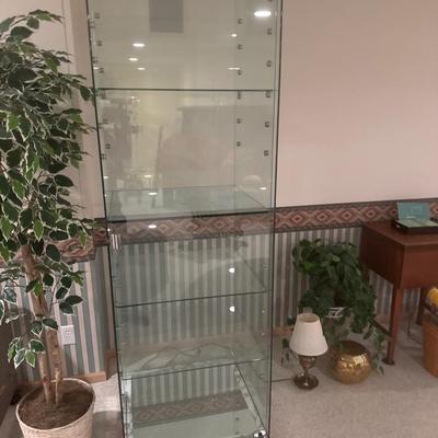 Glass display case