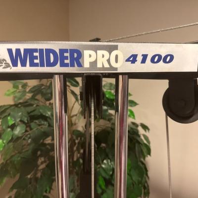 Weirder Pro 4100 exercise machine