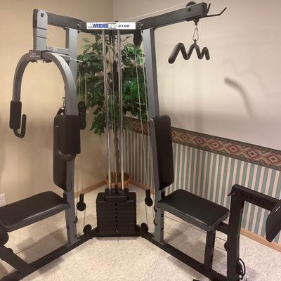 Weirder Pro 4100 exercise machine