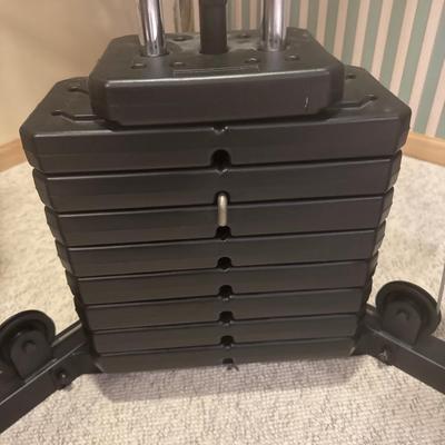 Weirder Pro 4100 exercise machine