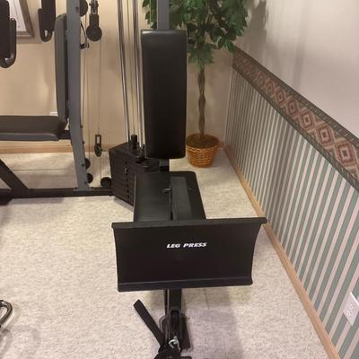 Weirder Pro 4100 exercise machine