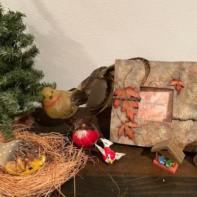 Fun bird decor