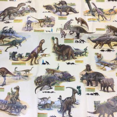 Dinosaur Poster Kids Books Lot