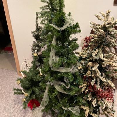 Grouping of Christmas trees