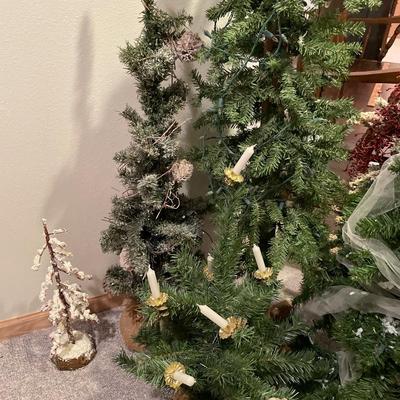 Grouping of Christmas trees