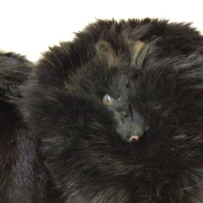 Black Mink Fur Collar and Matching Muff.