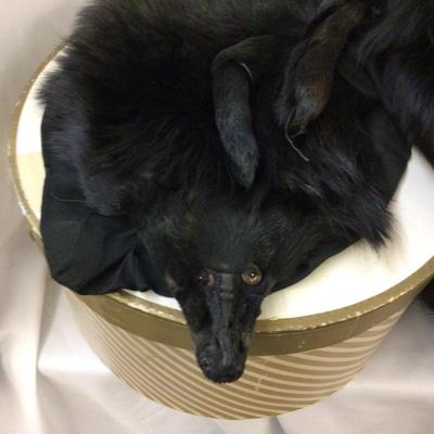 Black Mink Fur Collar and Matching Muff.