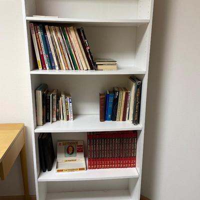 Bookshelf with practical handyman’s encyclopedia and more books