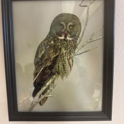 Various wall decor