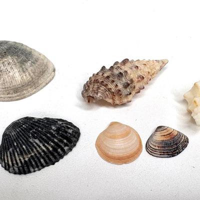 Lot of Small Trinkets