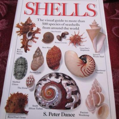 Eyewitness Handbooks : Shells Book