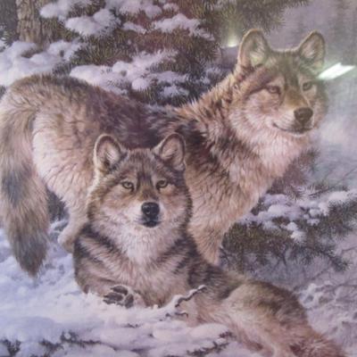 Picture of Wolves in Snow