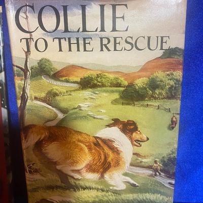 RED RYDER AND COLLIE TO THE RESCUE CHILDREN'S NOVELS