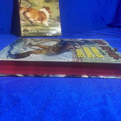 RED RYDER AND COLLIE TO THE RESCUE CHILDREN'S NOVELS