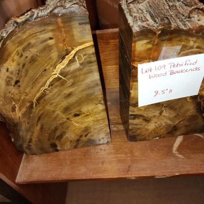 Petrified wood book ends with live edge