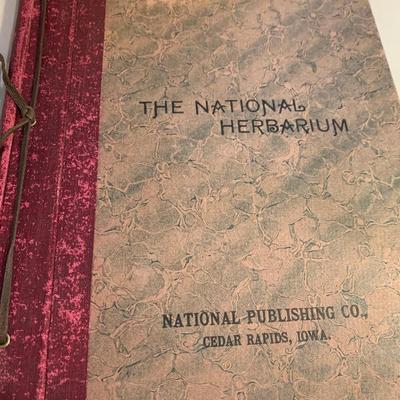 1904 Botanical Scrapbook w/ Actual Plants & Descriptions