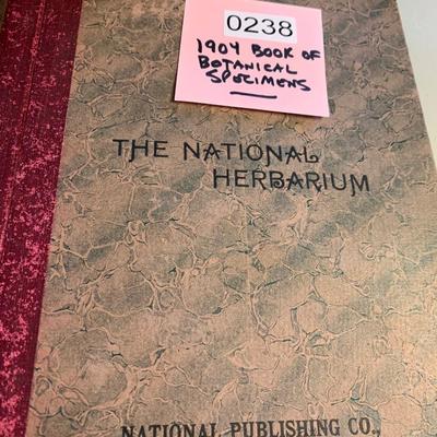 1904 Botanical Scrapbook w/ Actual Plants & Descriptions