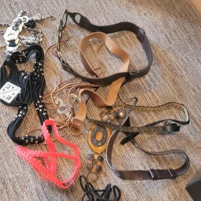 Assortment of women's belts