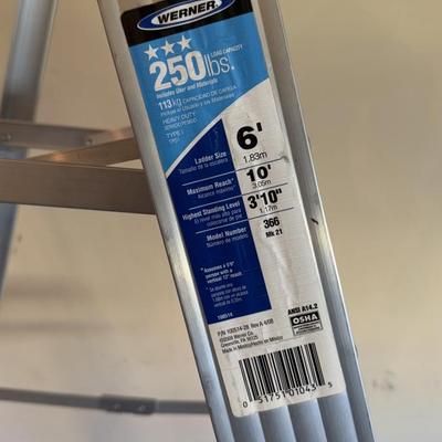 LOT 125G: 2 Werner Ladders - 6’ & Extension Ladder