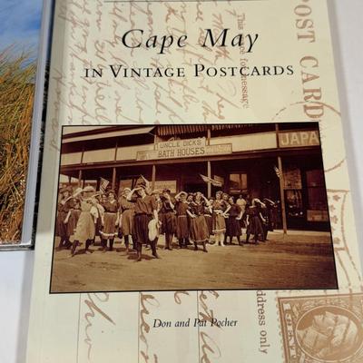 LOT 165B: Lefton Sandy Hook Lighthouse, Shaped Driftwood, Swirl Glitter Bird Sculpture, Carruth Frog Baby Sculpture & More