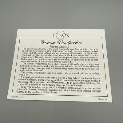 LOT 192N: Lenox Birds - Chipping Sparrow, Downy Woodpecker, Marsh Wren & Saw-Whet Owl