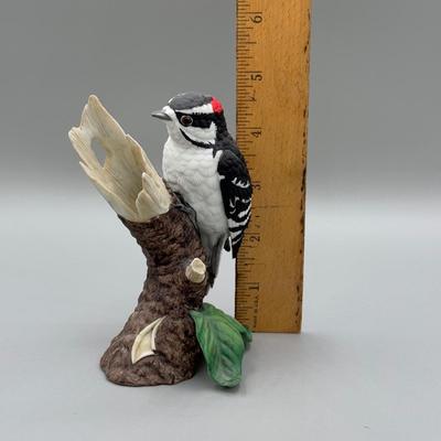 LOT 192N: Lenox Birds - Chipping Sparrow, Downy Woodpecker, Marsh Wren & Saw-Whet Owl