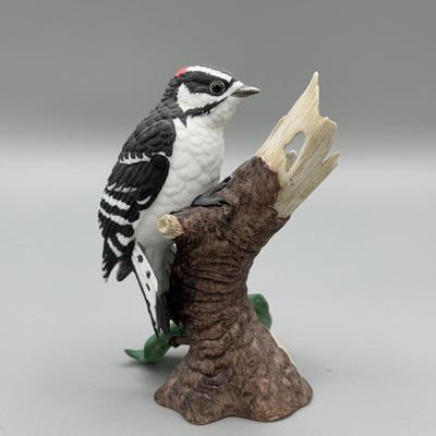 LOT 192N: Lenox Birds - Chipping Sparrow, Downy Woodpecker, Marsh Wren & Saw-Whet Owl