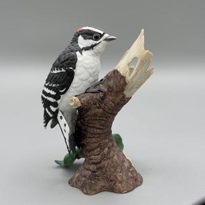 LOT 192N: Lenox Birds - Chipping Sparrow, Downy Woodpecker, Marsh Wren & Saw-Whet Owl