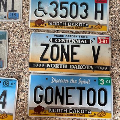 License plates for crafts!