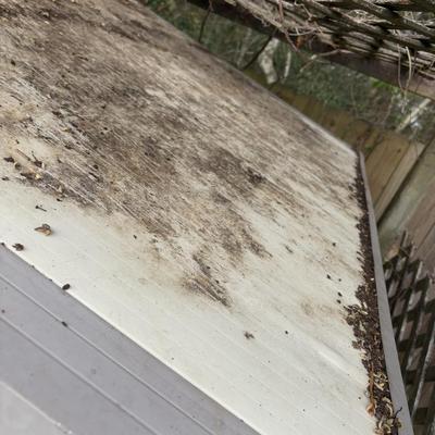 Yard Mate 8 x 8 Storage Shed - Bring Tools and Help to Disassemble