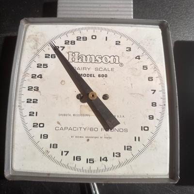 Dairy Scales
